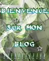 Bienvenu sur mon Blog